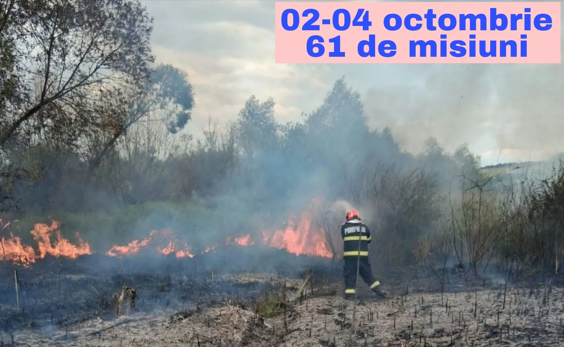 Sălaj: circa 20 de hectare de vegetație arse într-un weekend