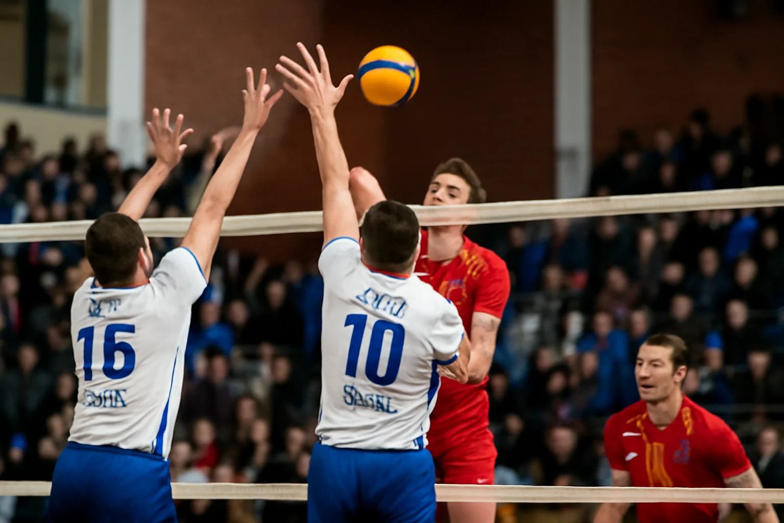 SCM Zalău caută calificarea în Challenge Cup în returul cu Volley Nafels, la Zalău
